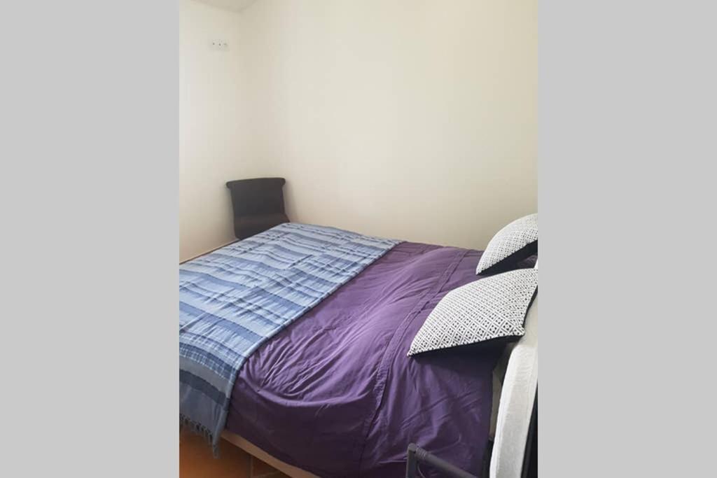 Appartement Tra Mare E Monti Ghisonaccia Eksteriør billede