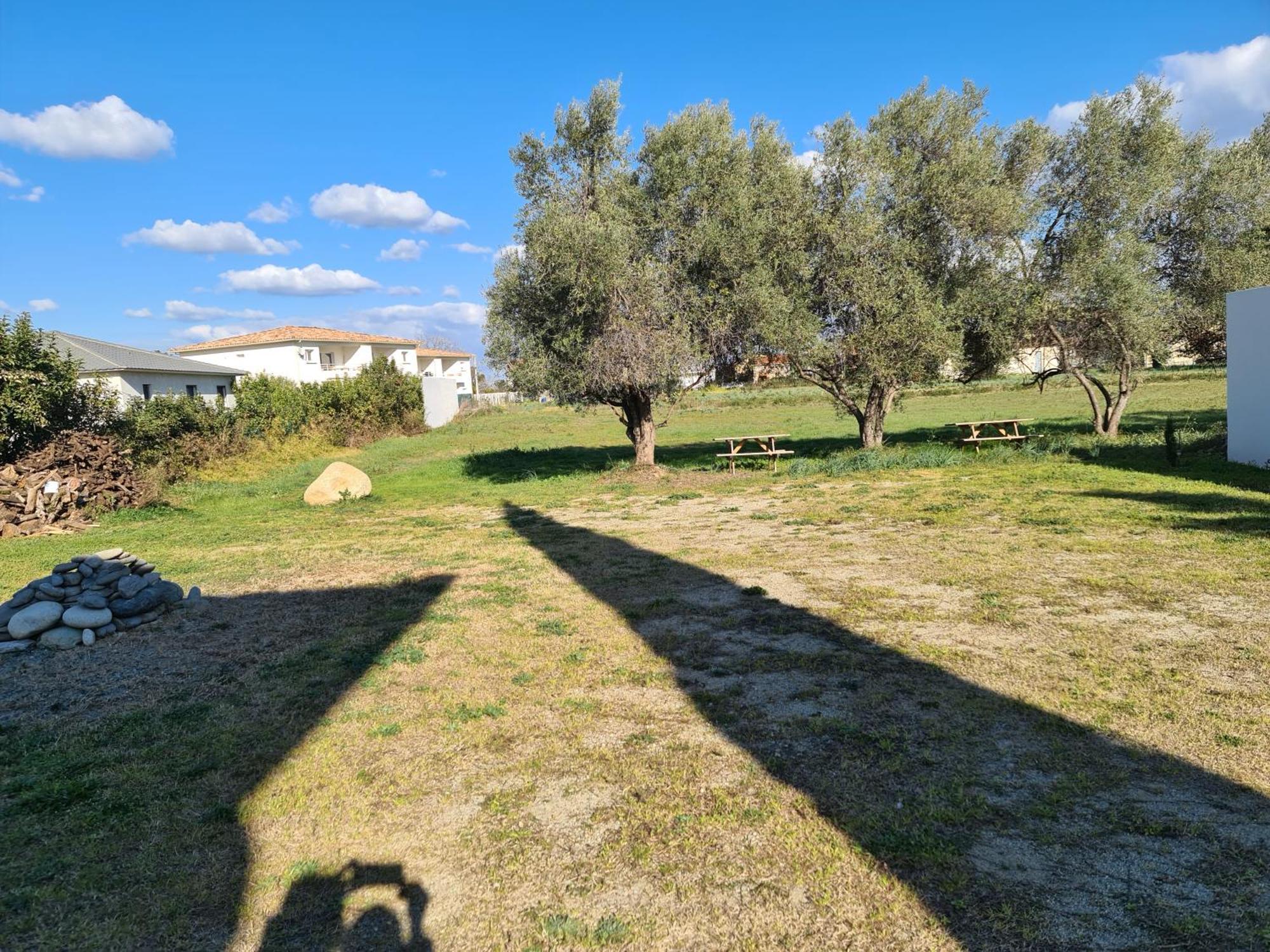 Appartement Tra Mare E Monti Ghisonaccia Værelse billede